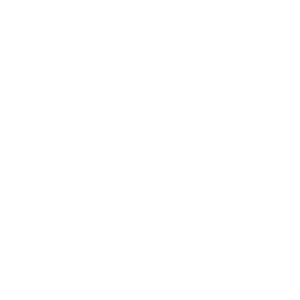 SPT Group Inc.