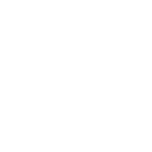 SPT PowerLoop