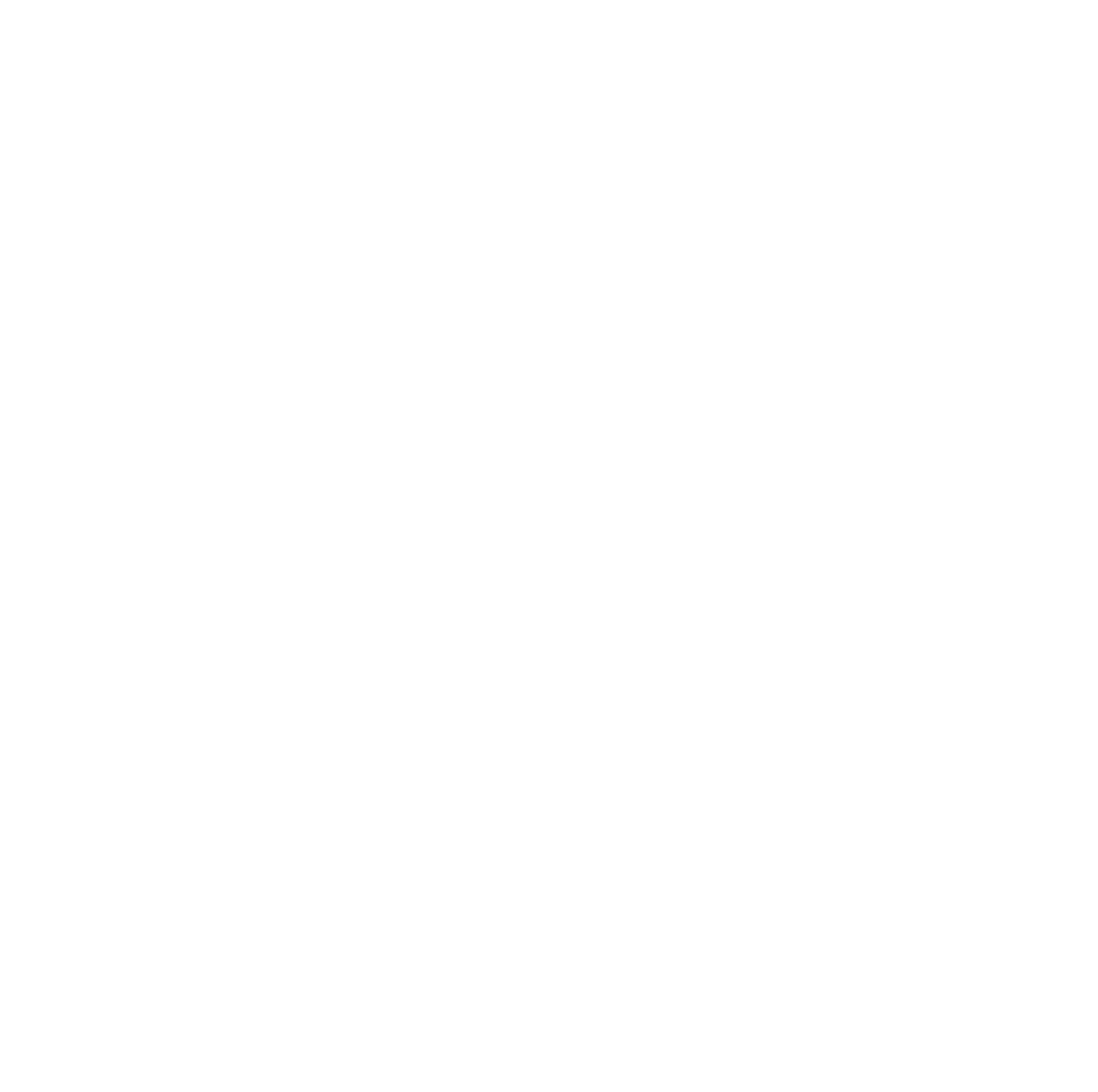 SPT Group Inc.